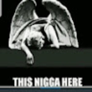 Meet your Posher, King